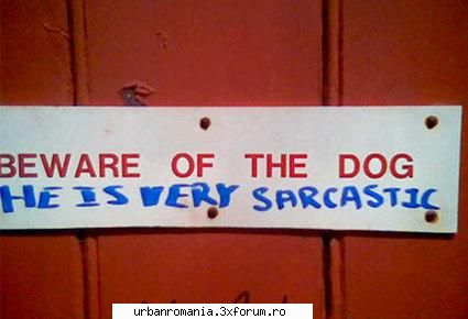 funny graffiti pics asa pun poze&nbsp; &nbsp;